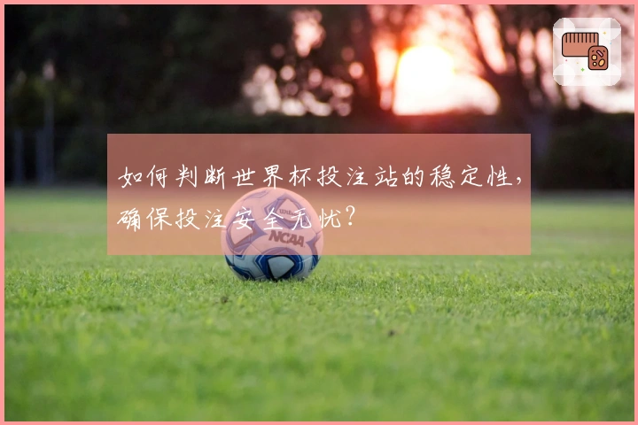 如何判断世界杯投注站的稳定性，确保投注安全无忧？