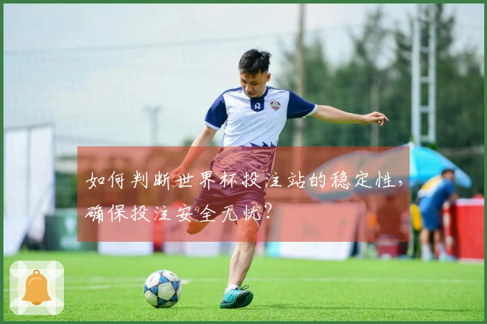 如何判断世界杯投注站的稳定性，确保投注安全无忧？