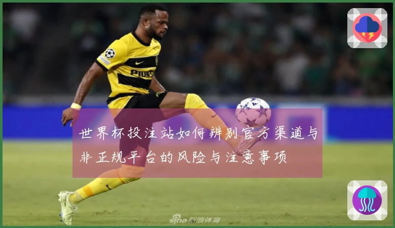世界杯投注站如何辨别官方渠道与非正规平台的风险与注意事项